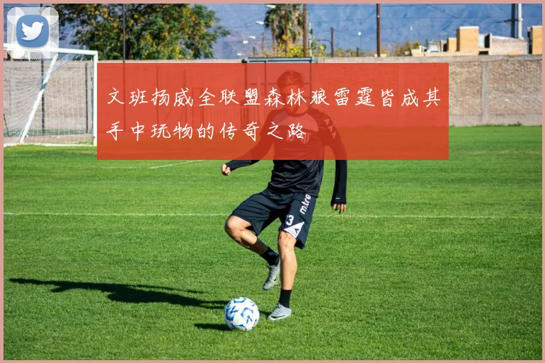 文班扬威全联盟森林狼雷霆皆成其手中玩物的传奇之路