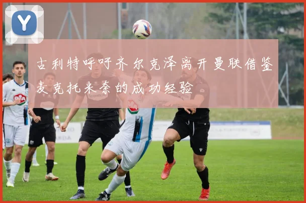 古利特呼吁齐尔克泽离开曼联借鉴麦克托米奈的成功经验