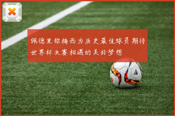 佩德里称梅西为历史最佳球员期待世界杯决赛相遇的美好梦想